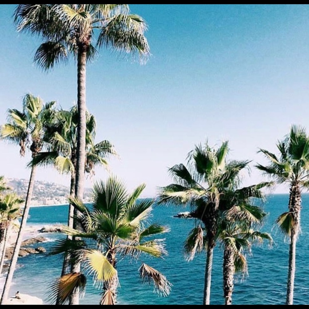 🌴